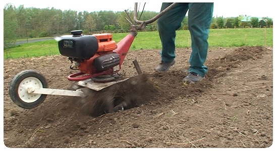 Kert művelés kategória